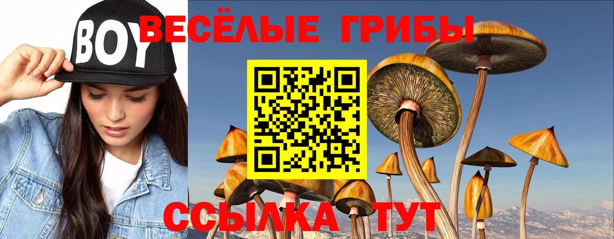 Галлюциногенные грибы ЛСД Семилуки